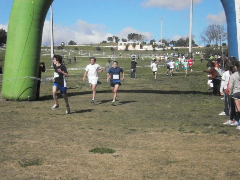 Corta-Mato Bela-Vista201308022013_062_799x599