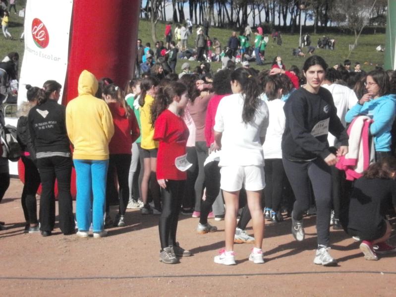 Corta-Mato Bela-vista201308022013_035_799x599