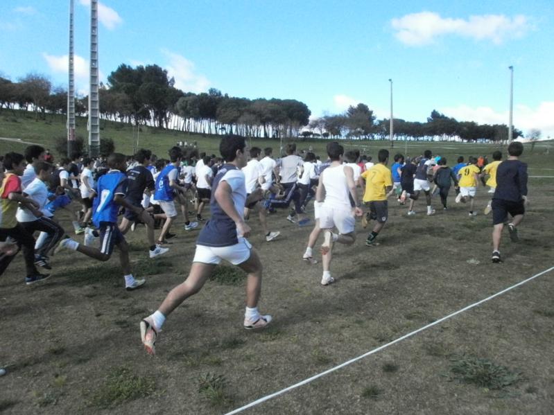 Corta-Mato Bela-vista201308022013_039_799x599