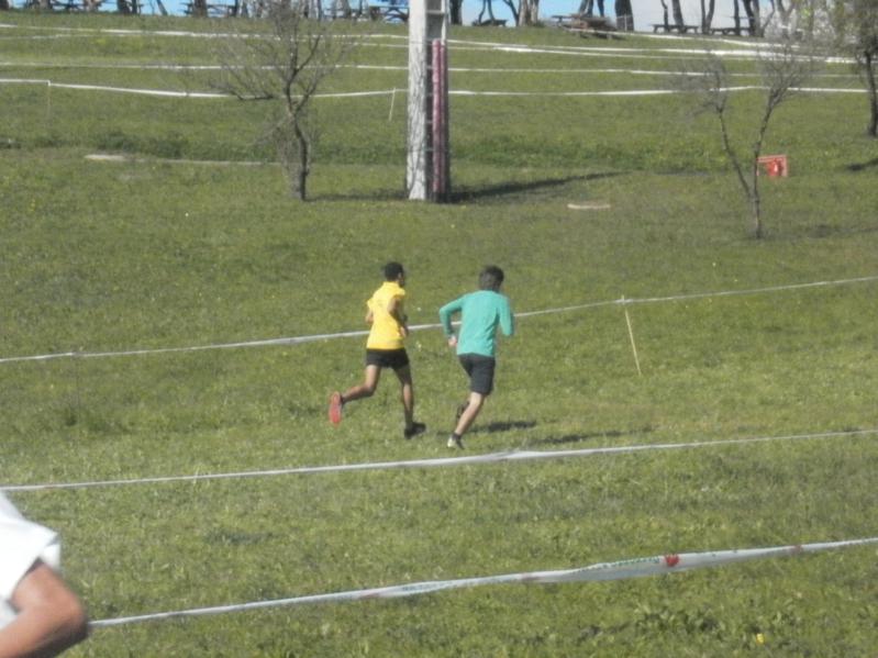 Corta-Mato Bela-vista201308022013_045_799x599