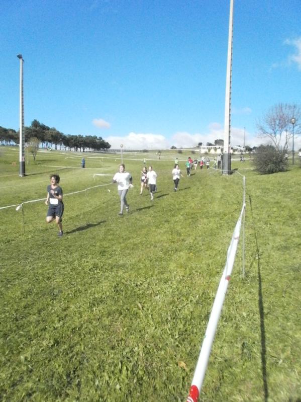 Corta-Mato Bela-vista201308022013_053_599x799