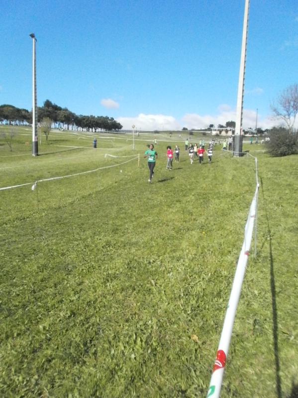 Corta-Mato Bela-vista201308022013_054_599x799