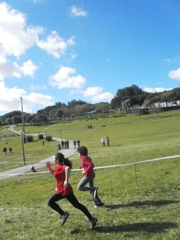 Corta-Mato Bela-vista201308022013_055_599x799