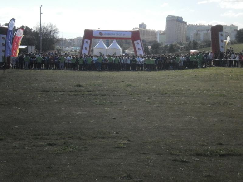 Corta-Mato Bela-vista201308022013_056_799x599