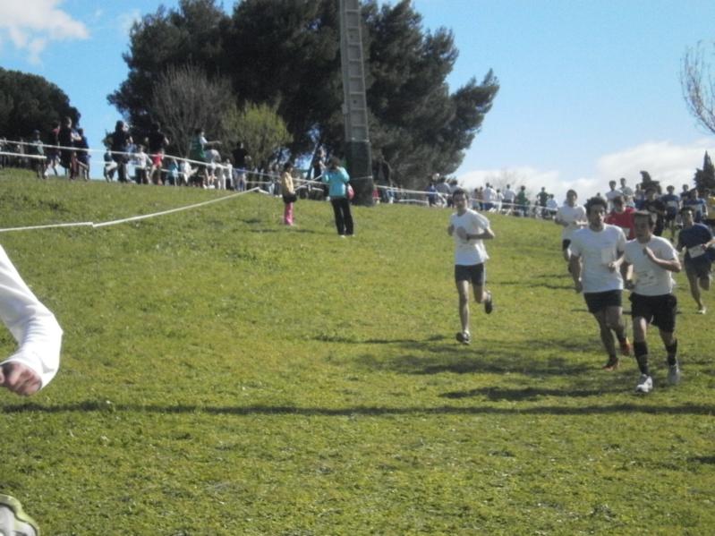 Corta-Mato Bela-vista201308022013_060_799x599