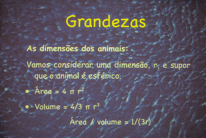 Semana Cultura ESAD 2013-125